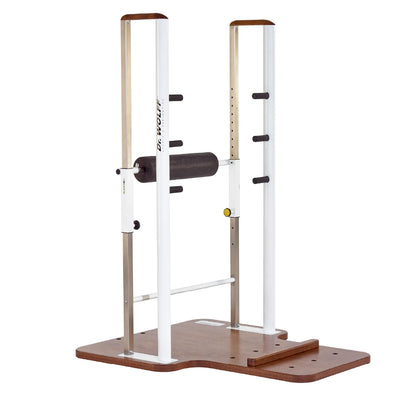 Blackroll station Arms & Lats